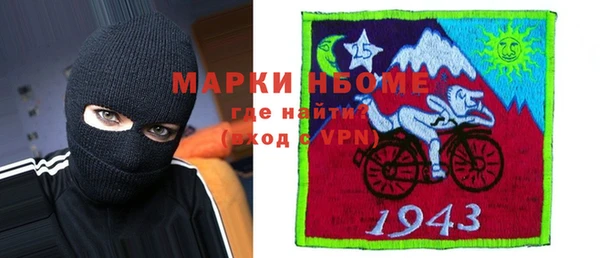 индика Рославль