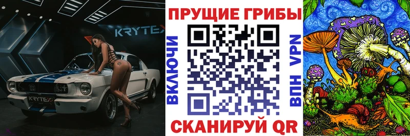 OMG   Кушва  darknet наркотические препараты  Псилоцибиновые грибы MAGIC MUSHROOMS 